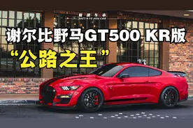 “公路之王”谢尔比野马GT500 KR版即将复出，出厂马力超过900P！