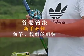 谷麦钓鱼：新手组装鱼竿，线组的实操讲解