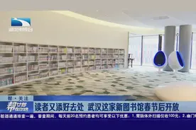 武汉：读者又添好去处 这家新图书馆春节后开放视频封面