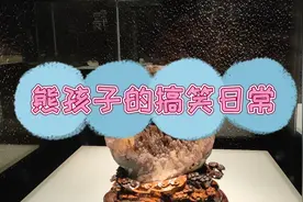 搞笑视频：熊孩子考试竟然比第一名多2分，到底是什么意思？