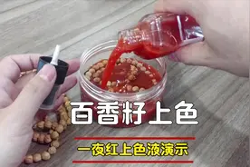 百香籽怎么盘，上色慢吗，不存在的，一夜一样红