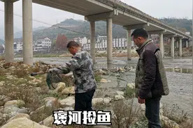 汉中褒河偶遇捡鱼人，即捡即卖发洋财有人赚几千，岸边人家有乐趣视频封面