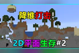 二维版我的世界！整个MC变成2D了！该如何继续生存？