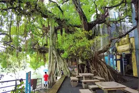 广州小洲村一日游，广东的古村落