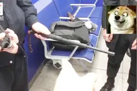 带甩棍过安检被查 男子：健身器材