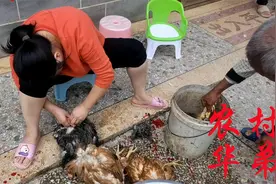 福建外嫁女孩，回到娘家之后，怎么连这个事情都得自己干视频封面