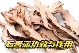 石菖蒲功效与作用