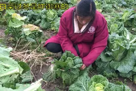 河南南阳，冬季的蔬菜是怎样过冬的？农村媳妇手把手教你方法