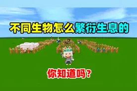 迷你世界：不同生物都是如何繁衍的，敦敦直接爆出五只小羊驼！