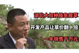 湖北大叔种植鱼腥草，开发附加产品让草价翻十倍，一年销售千万元视频封面