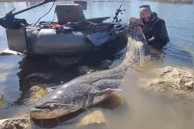 国外牛人水库下游钓鲶鱼，抓世界上最大鲶鱼200多斤，超过五米长视频封面
