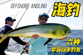 这才是海钓该有的样子，大饱眼福海钓中的六种巨物视频封面