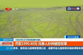 呼伦贝尔草原遭越野车碾压！罚款1990.40元，当事人补种被毁牧草