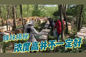 越浓稠的蜂蜜，总是给人一种好卖相，但是真蜂蜜却并不是这样视频封面