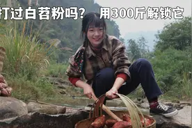 制作红苕粉要不要削皮？1元1斤的红苕，300斤削皮后能出多少粉？