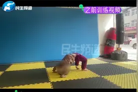 5岁女童跆拳道课练下腰致截瘫？教练一番话家长怒了视频封面