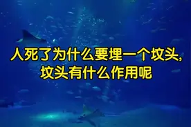 人死了为什么要埋一个坟头,坟头有什么作用呢视频封面