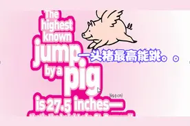 猪能跳多高？***一句话英语