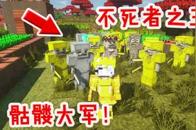 我的世界：建立自己的骷髅战士大军！今天起化身超强不死者之王！