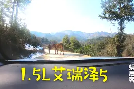 1.5升艾瑞泽5动力行不行，看小伙走农村山路爬坡怎么样，能不能买视频封面