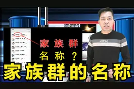 家族群的名称视频封面