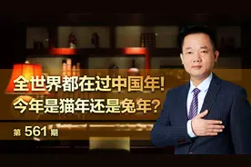 全世界都在过中国年！今年是猫年还是兔年？