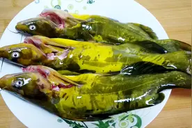 这才是黄古鱼最美味的做法，香鲜嫩滑，今天又要多吃2碗饭