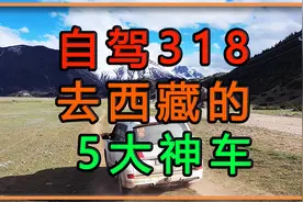 自驾318去西藏的5大神车，一个视频告诉你什么车可以走川藏线