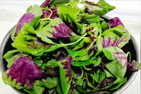 凉拌红苋菜很多人第一步就错了，教你正确做法！酸甜咸辣又下酒视频封面