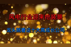 风电行业迎来抢装潮，盘点十大高成长的风电出口潜力龙头公司视频封面