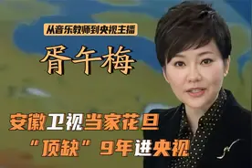 胥午梅：安徽卫视当家花旦，“顶缺”9年进央视，为何突然不播了视频封面