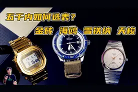 五千内如何选腕表？金砖 海鸥 雪铁纳 天梭谁更有优势？视频封面