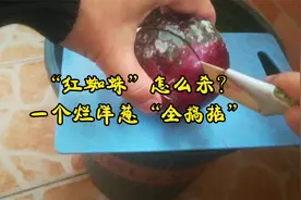 教你自制“洋葱”杀虫药！20分钟搞掂红蜘蛛视频封面