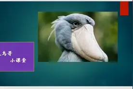 Python安装讲解视频（2）