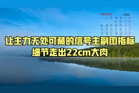 让主力无处可藏的信号主副图指标，细节走出22cm大肉视频封面