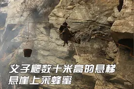 父子俩为养家糊口，光脚爬数十米高的悬梯采蜂蜜，随时都会送命视频封面