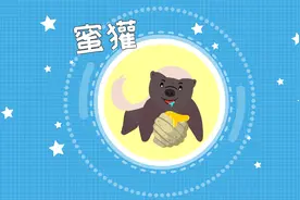 动物界的扛把子平头哥是什么动物