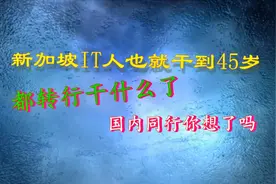 IT人到45岁以后不干IT都去做什么了，新加坡IT之终结篇，你该咋办视频封面