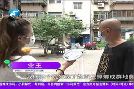 河南郑州：小区蟑螂泛滥，多方齐心协力灭“小强”视频封面
