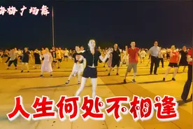 陈慧娴经典金曲《人生何处不相逢》你我在重望那一刹心中有泪飘降视频封面