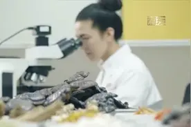 上海农本方中医门诊揭牌 体验现代中医诊疗服务