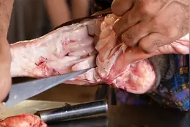 大叔切牛腿30年，靠一把小刀剔出牛骨，顾客：这技术值2000块视频封面