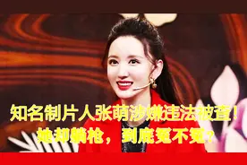 知名制片人张萌被立案调查！美女演员张萌却躺枪，她到底冤不冤？视频封面