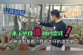 房车游厦门植物园，带你来到非洲沙漠，各种奇特植物令人瞠目结舌