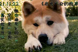 我预感到某些不好的事 我想阻止你但是我却做不到视频封面