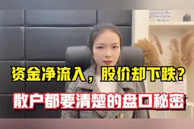 为什么资金流入而股价下跌？看懂盘口才知道隐藏在外盘内盘的秘密视频封面