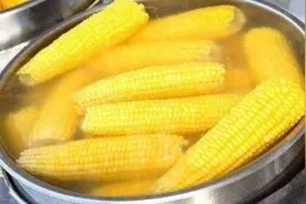 煮玉米到底几分钟最合适呢？做对了，玉米软糯好吃，香味十足视频封面