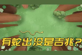 家中有蛇出没，是吉兆？为啥老辈人都不让打呢？视频封面