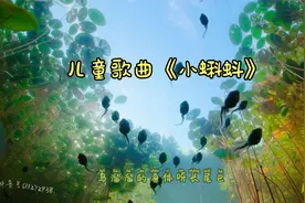 儿童歌曲《小蝌蚪》一首充满童真童趣的儿歌