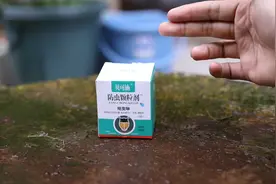 养花长了虫子怎么办？园艺师教你，用吡虫啉，什么虫子都能杀灭视频封面